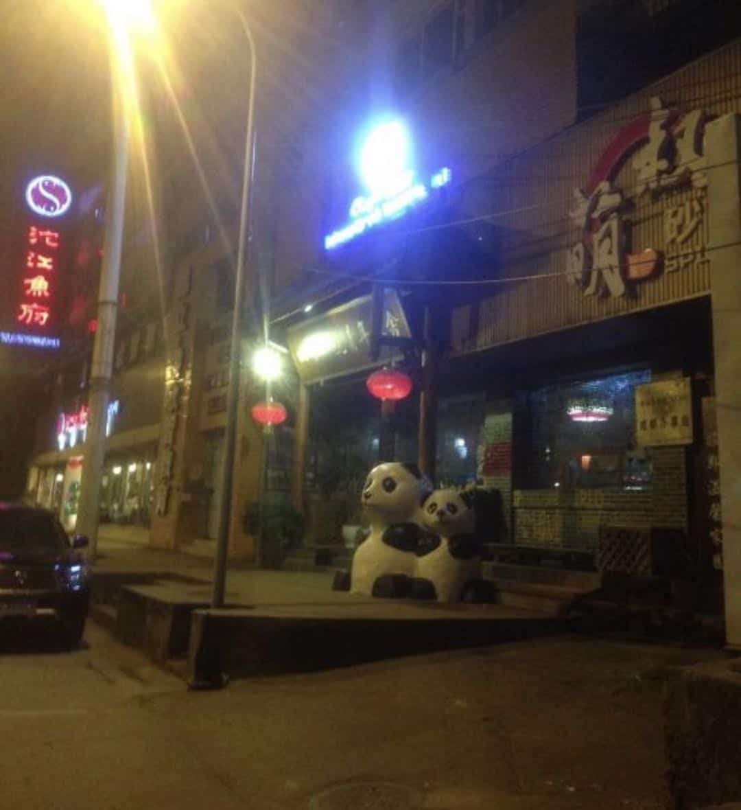 Chengdu Expat no48 hostel