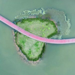 chengdu-island-bridge