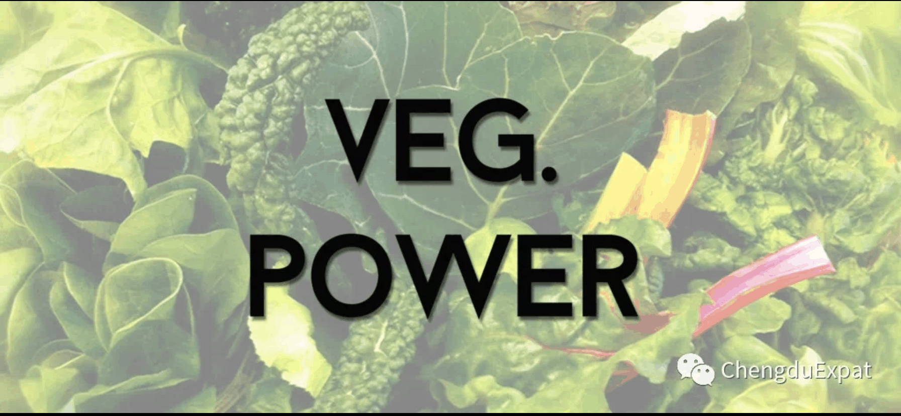 VegPower