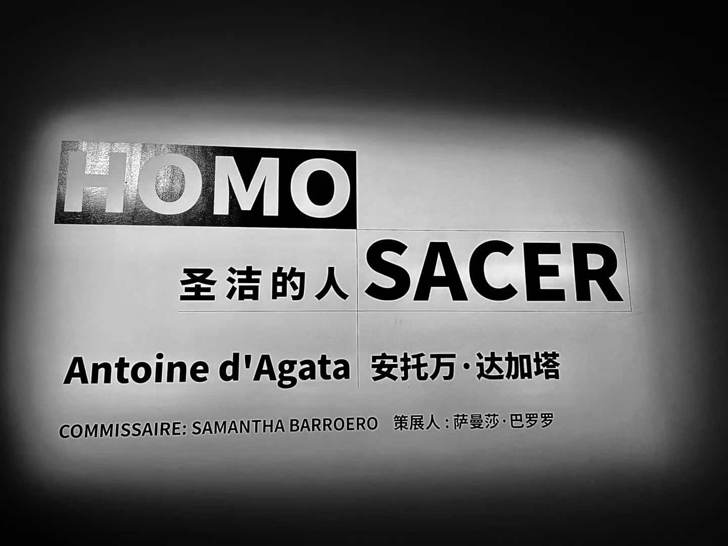 Homo Sacer Exhibition chengdu expat 3 1
