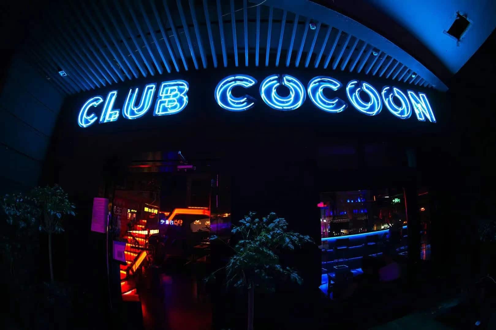 Club Cocoon Chengdu chengdu expat
