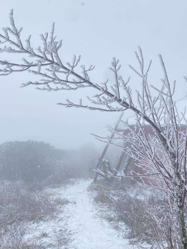 「2023.1.1」New-Year First Day Hike 2023 新年登高小天台山，偶遇白雪与雾凇，为新年祈福「2023.1.1」New-Year First Day Hike 2023 新年登高小天台山，偶遇白雪与雾凇，为新年祈福