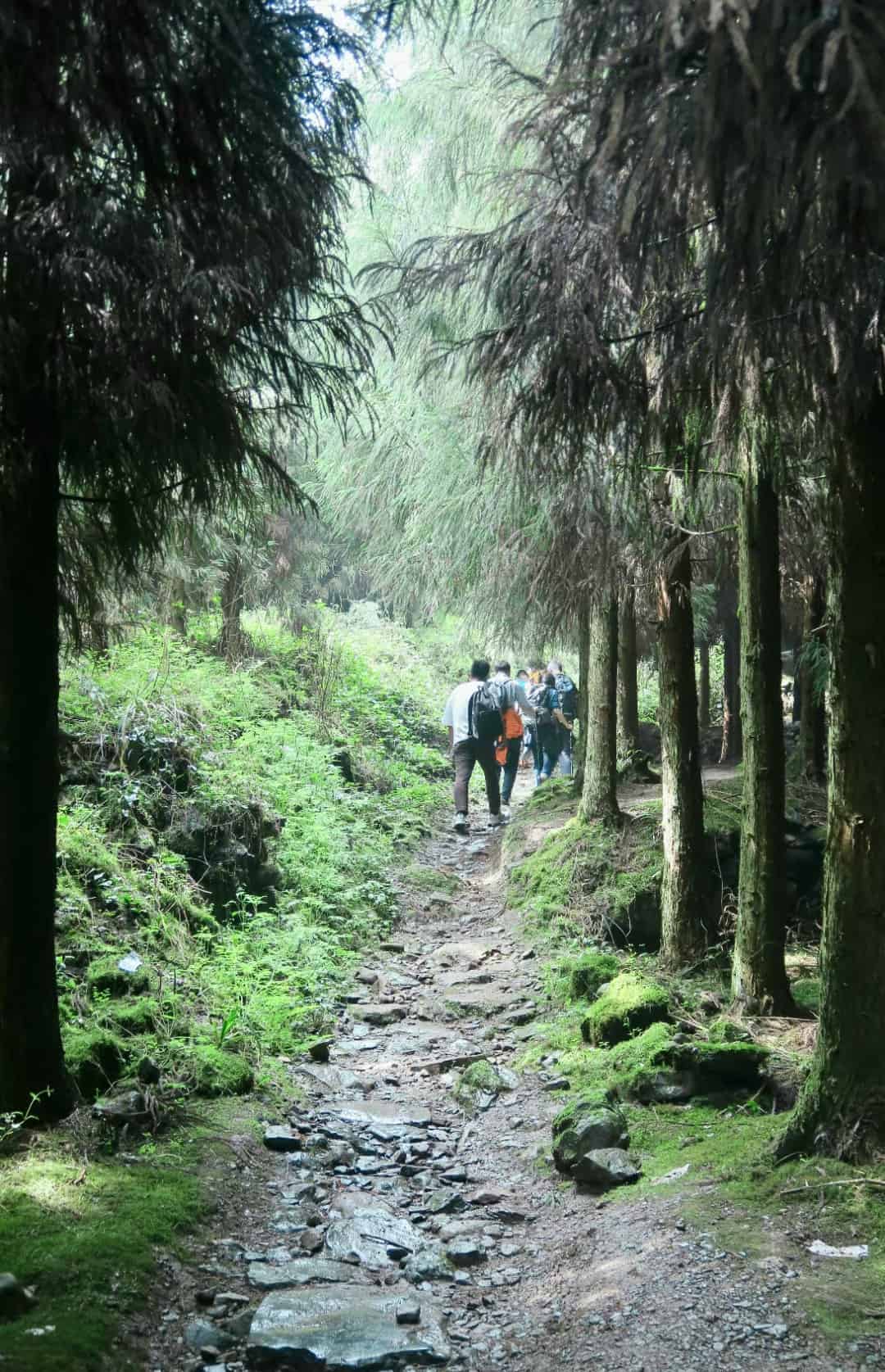 8.20 小鱼洞穿越虹口 挑战12KM Forest Hike to Dujiangyan