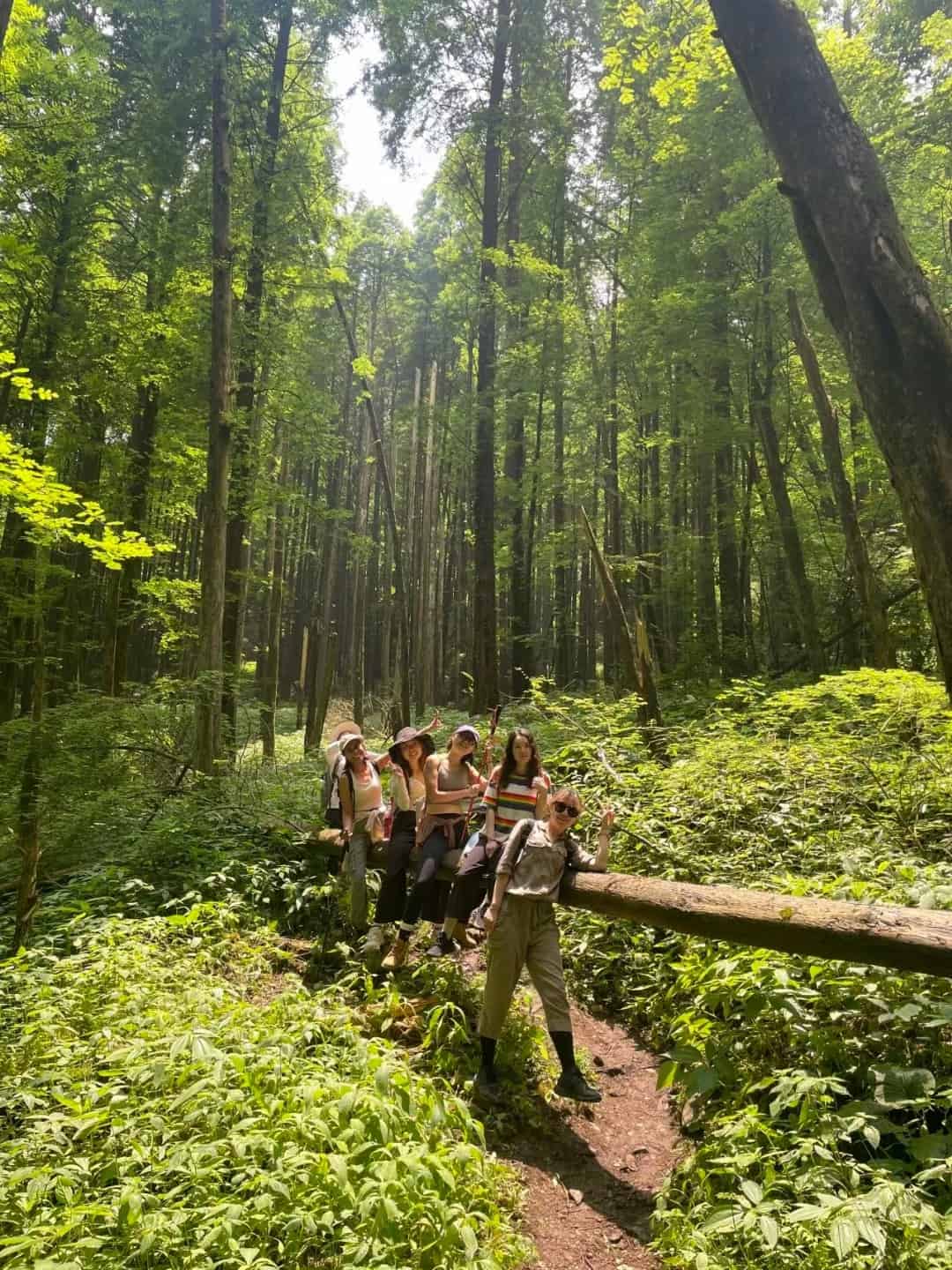 9.2 小鱼洞穿越虹口挑战 12KM Forest Hike to Dujiangyan