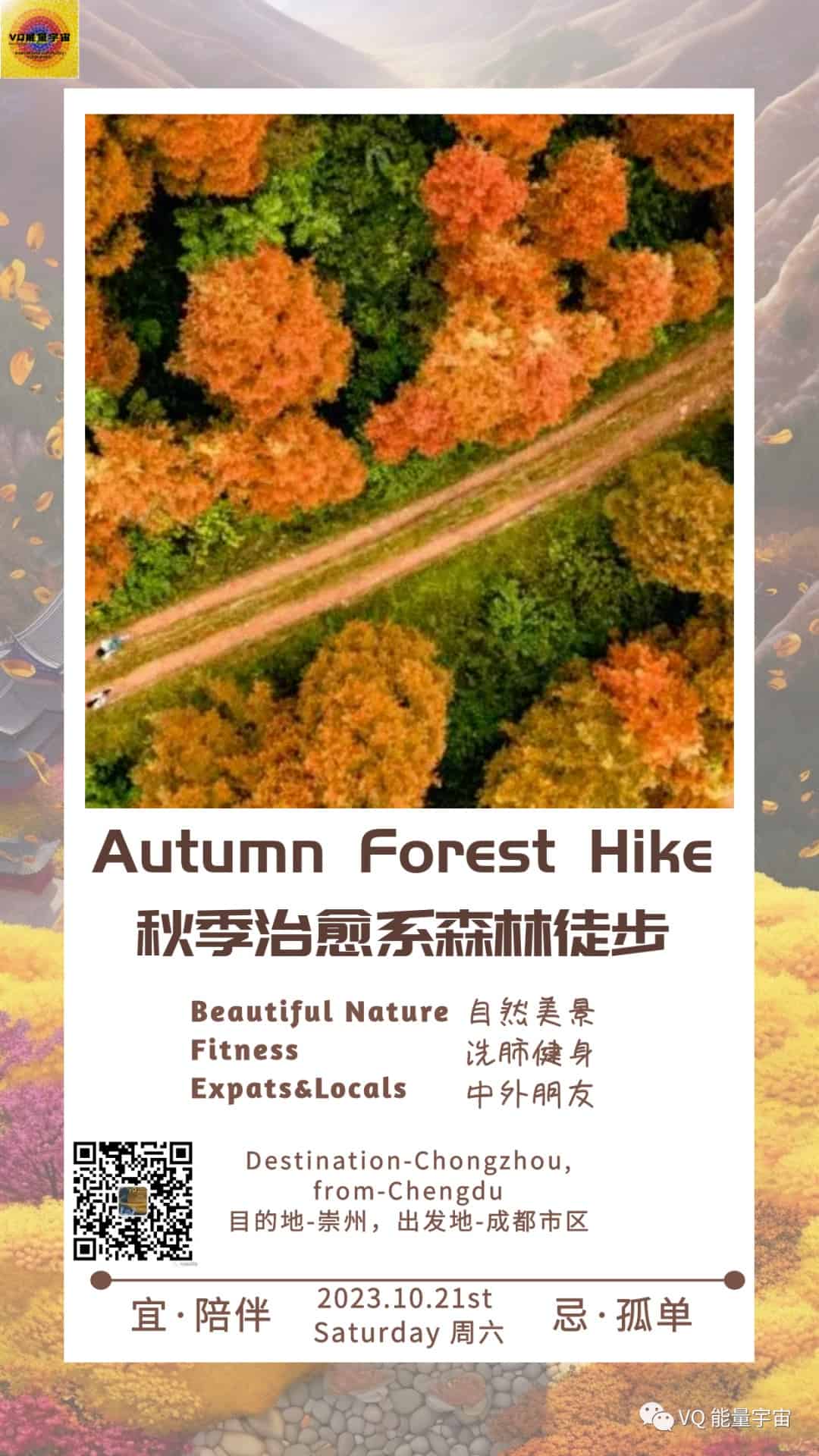 forest hike chengdu 1