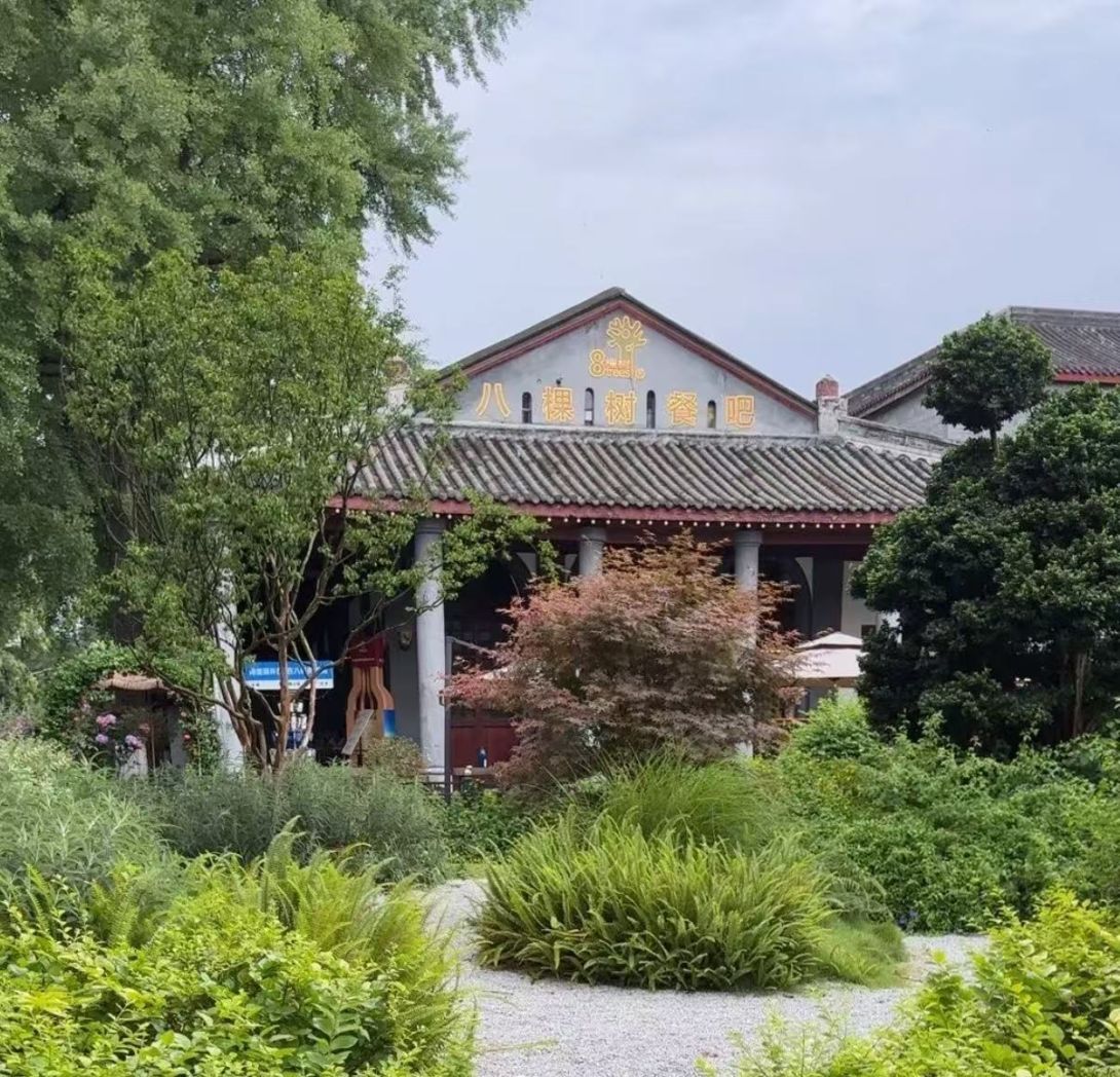 8 Trees bar restaurant chengdu chengduexpat Singaporean and Malaysian specialties steak