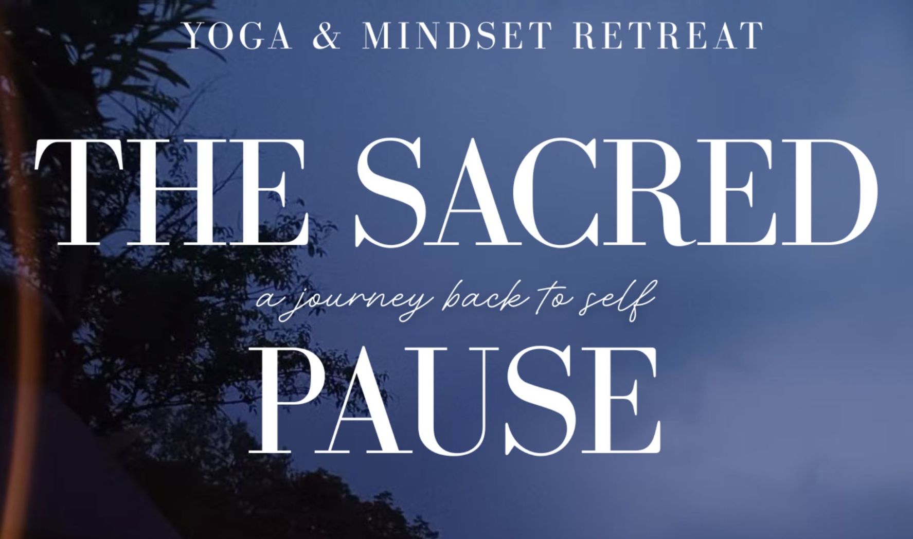 A Journey Back to Self Your Invitation to The Sacred Pause Qingcheng Mountain Retreat chengdu chengdu expat 1