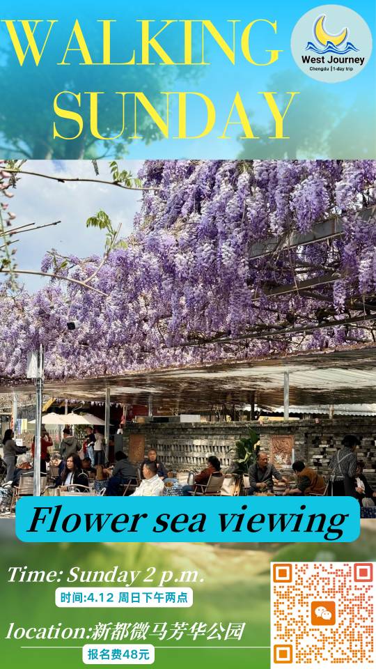 tmp 76584519e85aad630d733b2c5c66525d6b743ba1f9350250 1