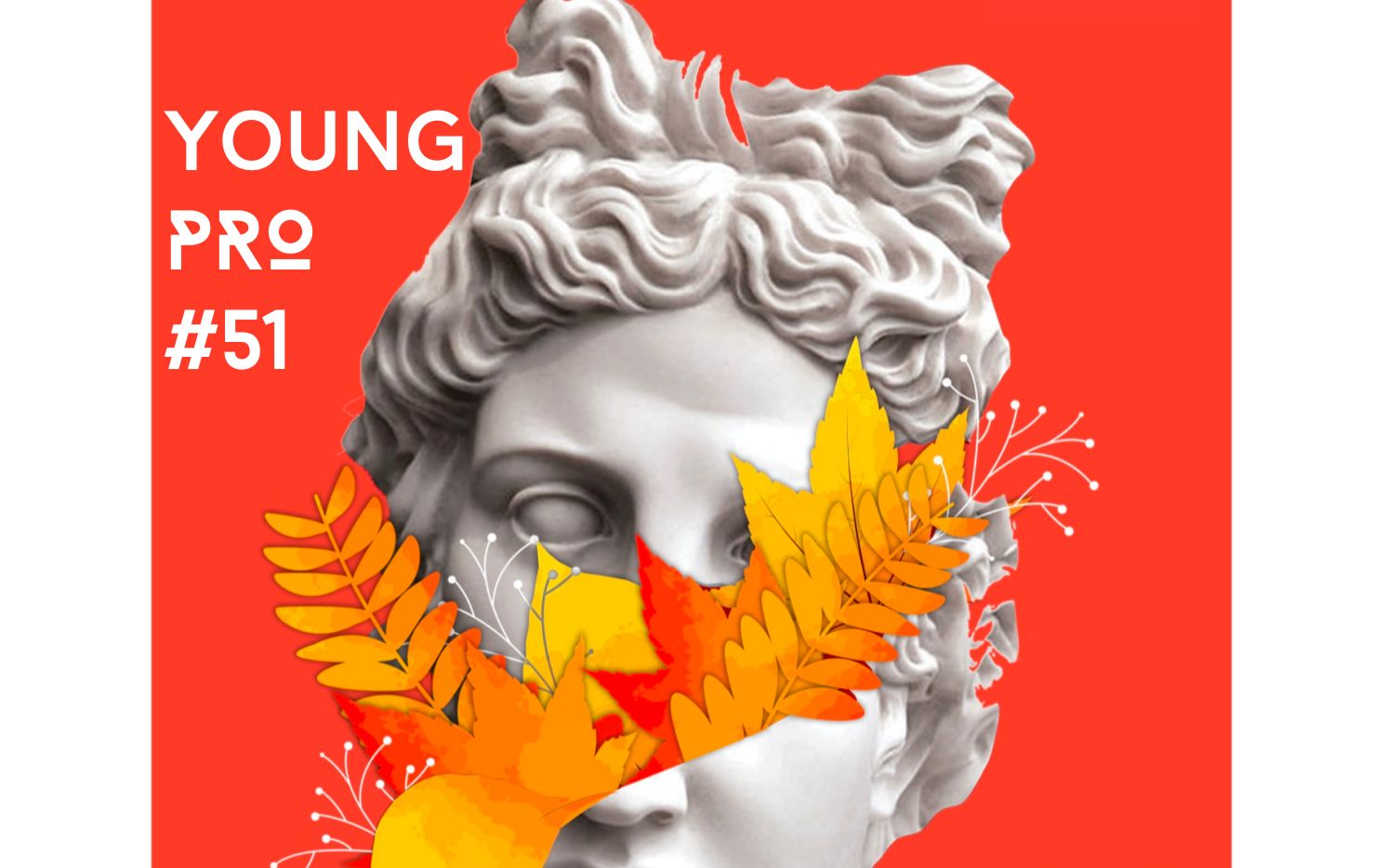 Young Pro 51 featured